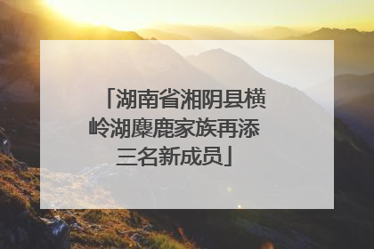 湖南省湘阴县横岭湖麋鹿家族再添三名新成员