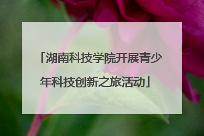 湖南科技学院开展青少年科技创新之旅活动