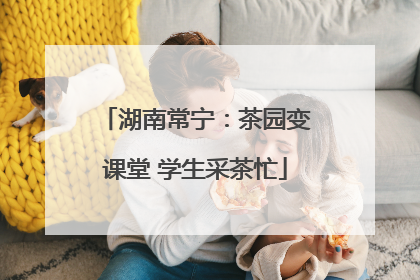 湖南常宁：茶园变课堂 学生采茶忙