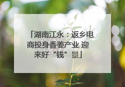 湖南江永：返乡电商投身香姜产业 迎来好“钱”景