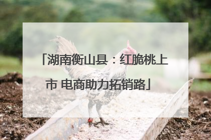 湖南衡山县：红脆桃上市 电商助力拓销路