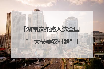 湖南这条路入选全国“十大最美农村路”