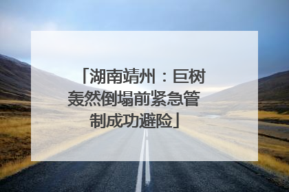 湖南靖州：巨树轰然倒塌前紧急管制成功避险