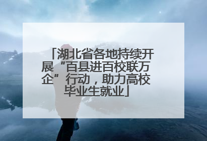 湖北省各地持续开展“百县进百校联万企”行动，助力高校毕业生就业