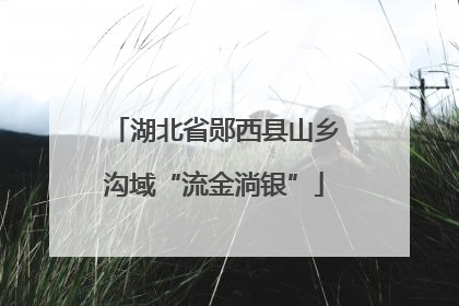 湖北省郧西县山乡沟域“流金淌银”