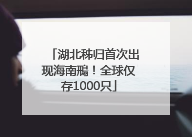 湖北秭归首次出现海南鳽！全球仅存1000只