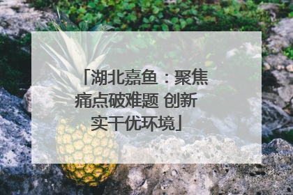 湖北嘉鱼：聚焦痛点破难题 创新实干优环境