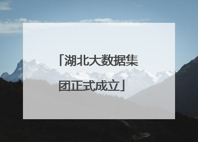 湖北大数据集团正式成立