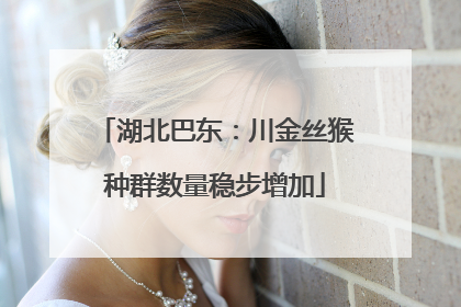 湖北巴东：川金丝猴种群数量稳步增加