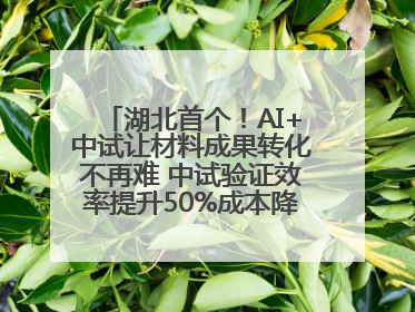 湖北首个！AI+中试让材料成果转化不再难 中试验证效率提升50%成本降低60%