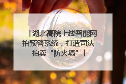 湖北高院上线智能网拍预警系统，打造司法拍卖“防火墙”