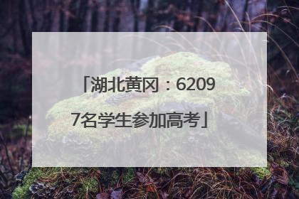 湖北黄冈：62097名学生参加高考