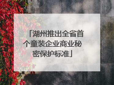 湖州推出全省首个童装企业商业秘密保护标准