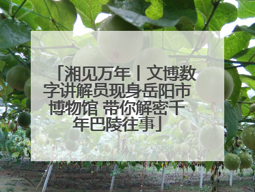 湘见万年丨文博数字讲解员现身岳阳市博物馆 带你解密千年巴陵往事