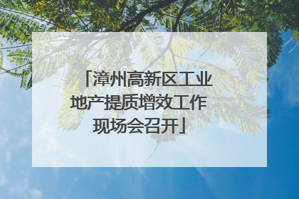 漳州高新区工业地产提质增效工作现场会召开