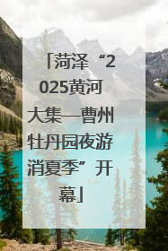 菏泽“2025黄河大集—曹州牡丹园夜游消夏季”开幕