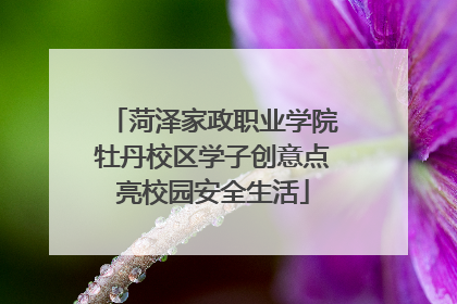 菏泽家政职业学院牡丹校区学子创意点亮校园安全生活