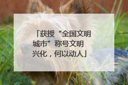 获授“全国文明城市”称号文明 兴化，何以动人