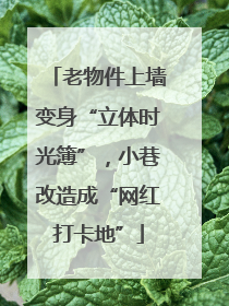 老物件上墙变身“立体时光簿”，小巷改造成“网红打卡地”