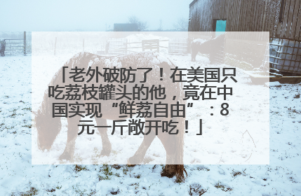 老外破防了！在美国只吃荔枝罐头的他，竟在中国实现“鲜荔自由”：8元一斤敞开吃！