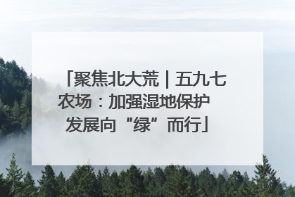 聚焦北大荒｜五九七农场：加强湿地保护 发展向“绿”而行