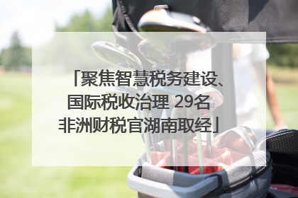 聚焦智慧税务建设、国际税收治理 29名非洲财税官湖南取经
