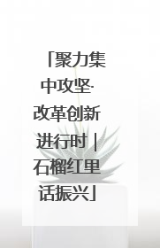 聚力集中攻坚·改革创新进行时｜石榴红里话振兴