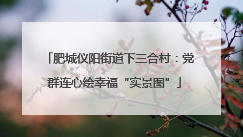 肥城仪阳街道下三合村：党群连心绘幸福“实景图”