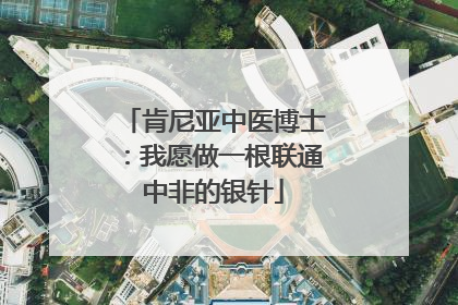 肯尼亚中医博士：我愿做一根联通中非的银针