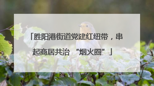 胜阳港街道党建红纽带，串起商居共治 “烟火圈”
