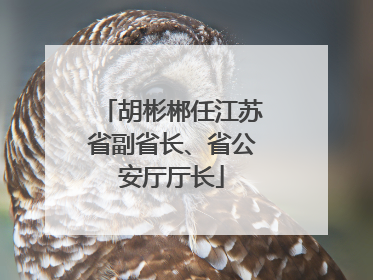 胡彬郴任江苏省副省长、省公安厅厅长