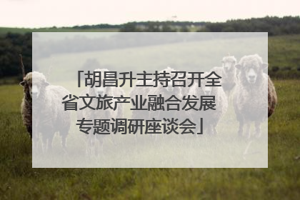 胡昌升主持召开全省文旅产业融合发展专题调研座谈会