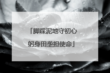 脚踩泥地守初心 躬身田垄担使命