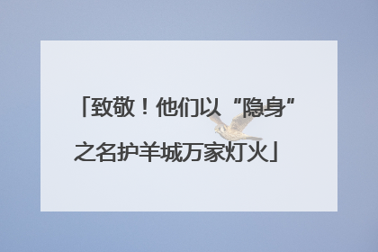 致敬！他们以“隐身”之名护羊城万家灯火