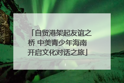 自贸港架起友谊之桥 中美青少年海南开启文化对话之旅