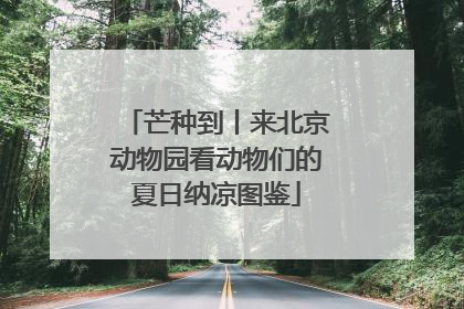 芒种到丨来北京动物园看动物们的夏日纳凉图鉴