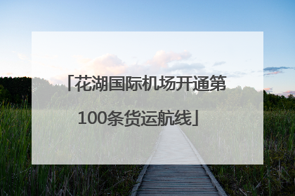 花湖国际机场开通第100条货运航线