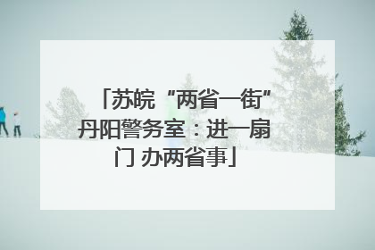 苏皖“两省一街”丹阳警务室：进一扇门 办两省事