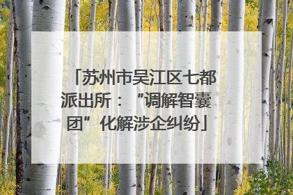 苏州市吴江区七都派出所：“调解智囊团”化解涉企纠纷