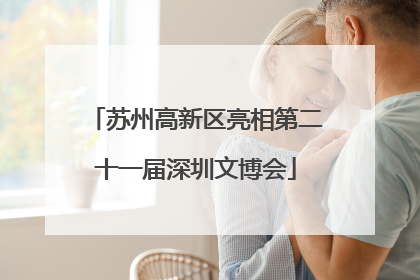 苏州高新区亮相第二十一届深圳文博会