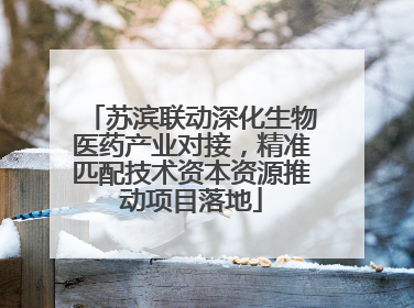 苏滨联动深化生物医药产业对接，精准匹配技术资本资源推动项目落地