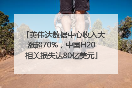 英伟达数据中心收入大涨超70%，中国H20相关损失达80亿美元