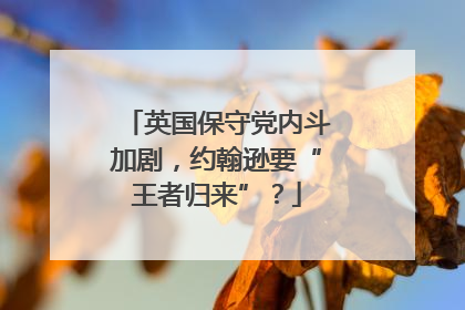 英国保守党内斗加剧，约翰逊要“王者归来”？