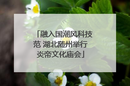 融入国潮风科技范 湖北随州举行炎帝文化庙会