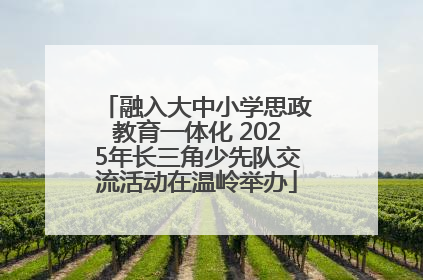 融入大中小学思政教育一体化 2025年长三角少先队交流活动在温岭举办