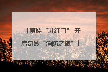 萌娃“进红门” 开启奇妙“消防之旅”