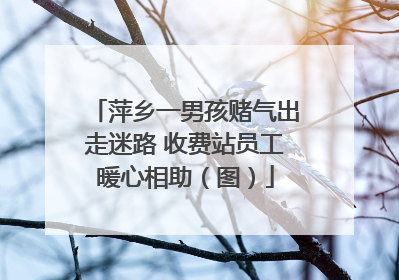 萍乡一男孩赌气出走迷路 收费站员工暖心相助（图）