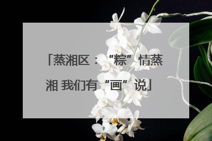 蒸湘区：“粽”情蒸湘 我们有“画”说