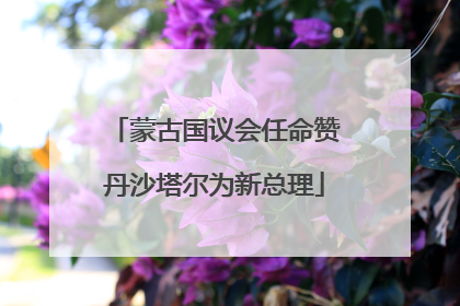 蒙古国议会任命赞丹沙塔尔为新总理