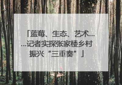 蓝莓、生态、艺术……记者实探张家楼乡村振兴“三重奏”